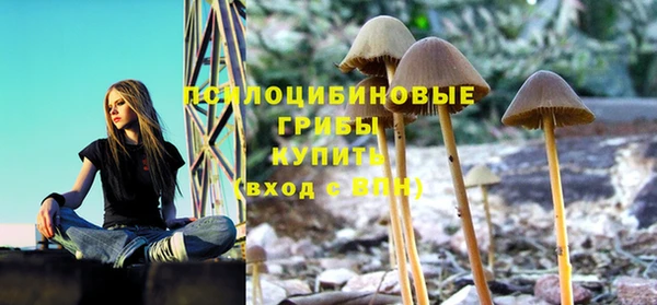 дмт Медногорск