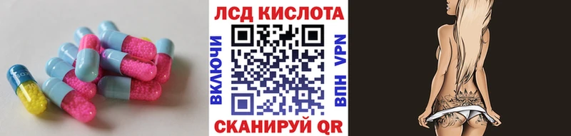 kraken ССЫЛКА  где купить   Суворов  LSD-25 экстази кислота 