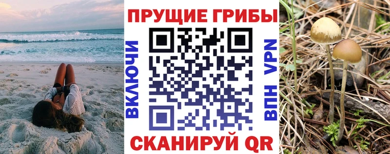 Галлюциногенные грибы GOLDEN TEACHER  ссылка на мегу сайт  мориарти наркотические препараты  Суворов 